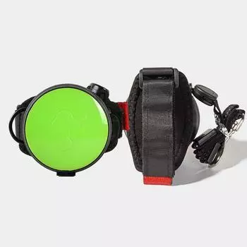 Pet Supplies Dog Hand Holding Rope out Dog Leash Explosion-Proof Wrist Chest Strap Dog Walking Artifact Cross-Border Rope length 2.5 meters diameter 7cm Apple Green