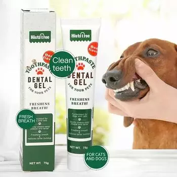 Pet Toothpaste Cleaning Products Vanilla Beef Flavor Dog Toothpaste Dog Oral Cleaning Products Pet Tootpaste Cleaning Supplies CHINA