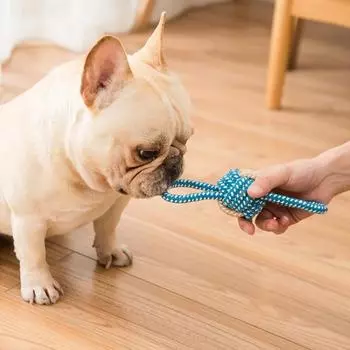 Pet Toys Small and Medium-sized Dogs Grind Teeth Relieve Stuffiness and Knots Toys Dog Biting Rope Set Teddy Pet Ball