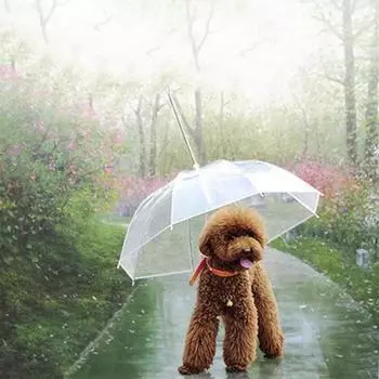 Pet Зонт Teddy Puppy Umbrella Собака Снег Дождь прозрачный