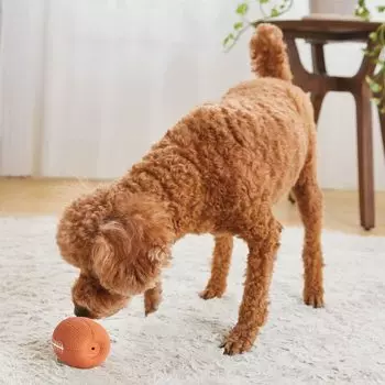 Petio игрушка для собак Silent Dog латексный мяч для регби
