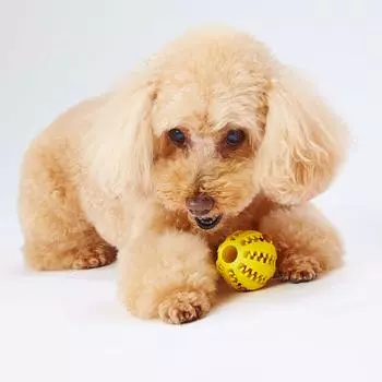 Petio игрушка для собак TREATS LOVER Ball S