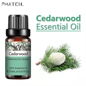 PHATOIL 5 мл/10 мл/15 мл/30 мл/100 мл Эфирное масло кедрового дерева для освежения воздуха, облегчения тела, чистый растительный экстракт, арома-масло Cedarwood-5ml+Dropper