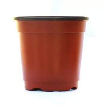 Plants Plastic 1050100pcs Nursery Pot Double Color Seedling Flowerpot Holder 1pcs,9*6*8cm