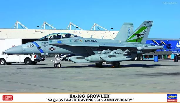 Пластиковая модель самолета ВМС США Growler Black Ravens 50th Anniversary от Hasegawa 02351 1/72 EA-18G VAQ-135