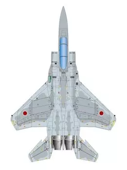 Platts Eagle Joint Training Guardian 201st Squadron Unit 900 Министр обороны Пластиковая модель Литье Цвет 1/72 F-15J Япония-Австралия Bushido 19