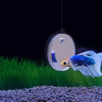 Плавающее зеркало для упражнений для рыбок Betta, диаметр 5 см/6 см/7 см, плавающее круглое зеркало для рыбок-антидепрессантов Betta. 2-3 дюйма 5
