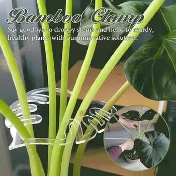 Поддержка растений Monstera Leaf Grapple Stem Holder для растений Вертикальная поддержка роста стеблей для комнатных и уличных цветов и трав A