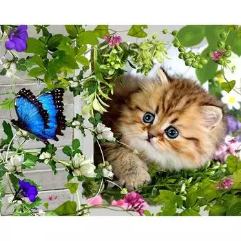 Полный 5D Diy Алмазная картина Мультфильм Кот и бабочка Вышивка крестом Домашний декор Ручная работа 25x30cm