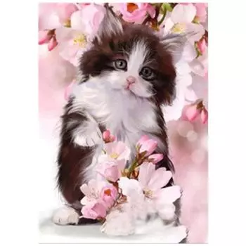 Полный 5D Diy Алмазная картина Персик и кошка Вышивка крестом Домашний декор Подарок ручной работы 20X25CM