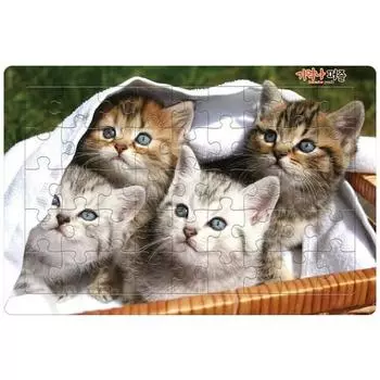Помните игру-головоломку «45 Piece Cats»?, Корейские популярные головоломки