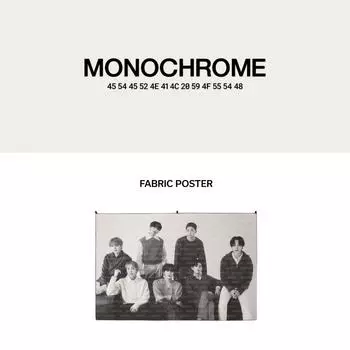 Предзаказ Постер на ткани BTS MONOCHROME