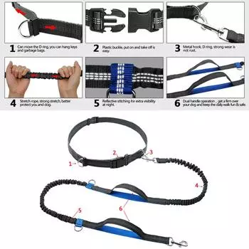 Professional 2022 New Reflective Leash Traction Rope Pet Dog Running Belt Elastic Hands Freely Jogging Pull Dog Leash Metal D-ring Leashes