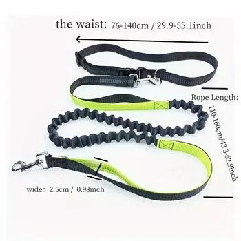 Professional Pet Supplies Explosion-proof, Elastic and Elastic Pet Leash, Sturdy and Durable, Stretchable Dog Walking Leash, Running, Freeing