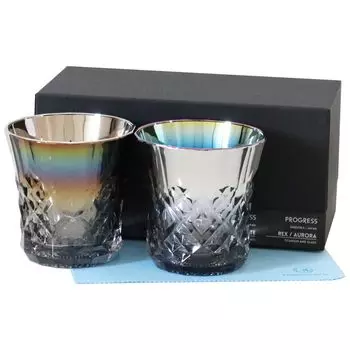 PROGRESS Rocks Glass Titanium Mirror Cut Design Made in Japan Gift Day Gift Whiskey Wine Mellow Alcohol Set of 2 with Cloth Infinite Rex Father s