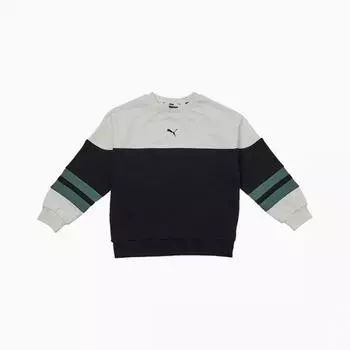 Puma Детская толстовка для мальчиков и девочек Pu33mr301 BK/120