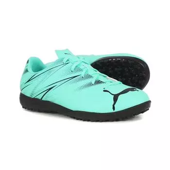 Puma Junior Soccer Shoes Futsal Shoes Atakanto Tt 10748110205