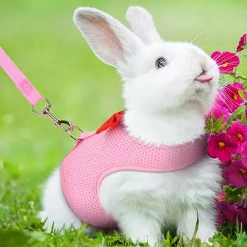 Rabbit Harness Soft Mesh Small Pet No Pull Comfort Padded Vest for Bunny Guinea Pigs Squirrels and Other Small Animal S чёрный