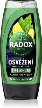 Radox Men Feel Strong Gel De Douche Et Shampoing 2 En 1 TU прозрачный