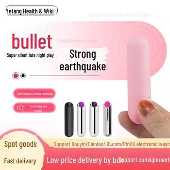 Rechargeable Vibrating Bullet Egg Massager for Women - Strong Vibration, Quiet Operation, Adult Sex Toy. 12 frequency
