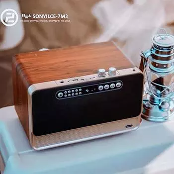 Ретро деревянный FM-радио Caixa De Som Портативный беспроводной Bluetooth-динамик 30 Вт Heavy Bass Box Музыкальный плеер U-диск TF-карта AUX золотой