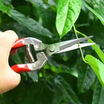 Retro Red Stainless Steel Pruning Scissors Gardening Scissors Household Fruit Picking Grape Scissors Garden Branch Pruning Tools 17cm