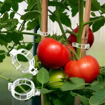 Reusable Plant Supports Clips Plastic Connects Fixing Vine Grape Tomato Stem Clip Grafting Vegetable Plants Orchard Garden Tools 50PCS прозрачный