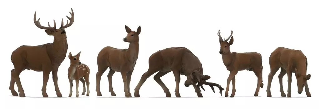 Rokuhan Z Gauge Scale Tiny Figure Deer S208 Diorama Supplies 1/220