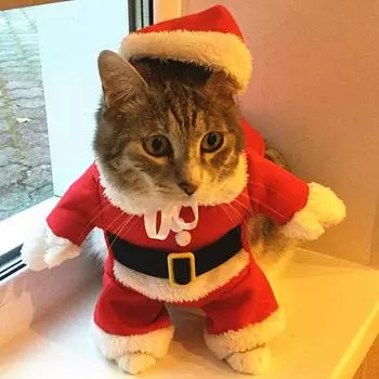 Рождественские костюмы для кошек, забавная одежда Санта-Клауса для маленьких кошек, собак, Рождество, Новый год, одежда для домашних животных, зимняя одежда для котят, наряды для котят XS
