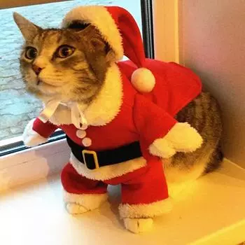 Рождественские костюмы для кошек, забавная одежда Санта-Клауса для маленьких кошек, собак, Рождество, Новый год, одежда для домашних животных, зимняя одежда для котят, наряды для котят XS