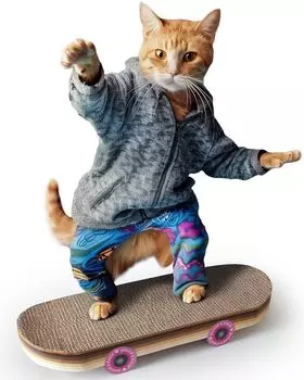 SAC UK Cat Scratch Skateboard Scratch Toy Interactive Cat Toy Novelty Cat Gift Alternative Cat Scratching Post for Cats and Kittens