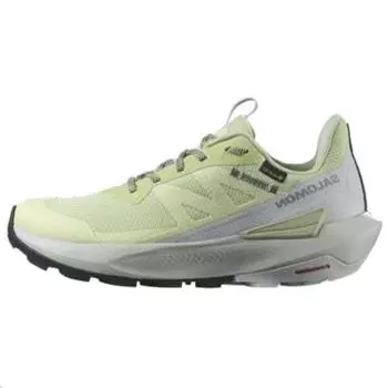 SALOMON Elixir Activ GORE-TEX Celadon Green женские кроссовки Glacier-Grey Phantom L47456300 40