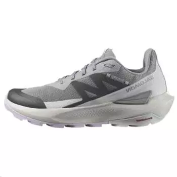 SALOMON Кроссовки женские Elixir Activ Sharkskin Orchid Petal Grey Glacier-Grey L47457500 38
