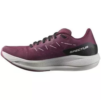 Salomon Spectur Narrow беговые кроссовки EU 40
