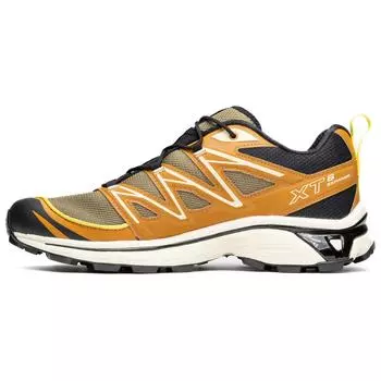 SALOMON XT-6 Expanse Cathay Spice мужские кроссовки зеленая ящерица лютик L47134000 42