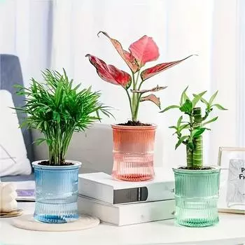Самополивающиеся горшки для растений Обработка почвы Цветочный горшок для ленивых людей Прозрачный дизайн Современная декоративная ваза Настольный горшок для комнаты зелёный