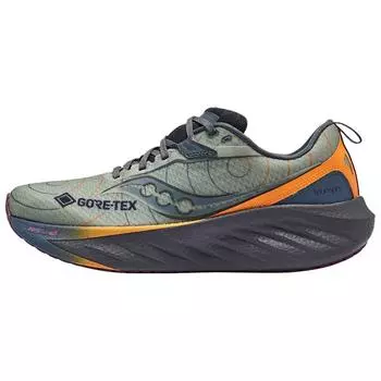 SAUCONY Кроссовки мужские Triumph 22 GORE-TEX Sage Carbon зеленые S20966-254 43