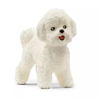 Schleich Farm World Бишон Фризе 13963