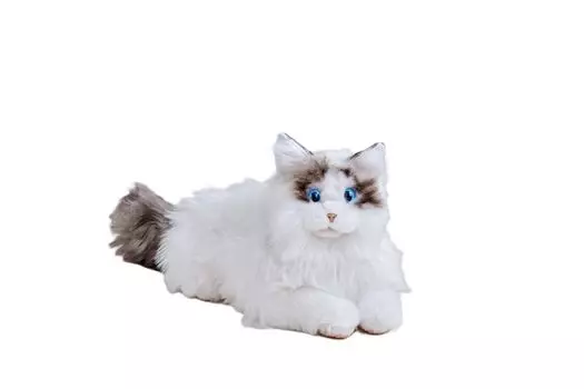 SEGA FAVE KIMIT Ragdoll Pet Robot Cat (Brown)