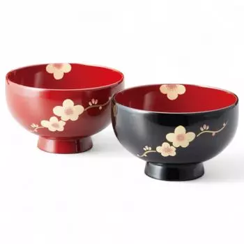 Set of 2 Lacquerware Dishwasher Made in Japan J-kitchens Bowls, Hand-Painted, Safe, PID-529098,