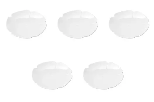Set of 5 Kotohana Nichinokusa Individual Plates x Medium Plate Setomonohonpo [17.1 2cm]