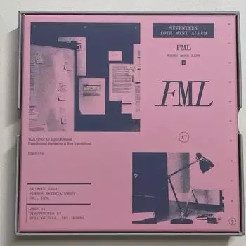 Seventeen Album Fml2