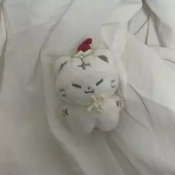 Seventeen Hoshi Doll Hoshing