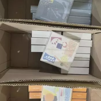 Seventeen Mini 12 Unreleased Album