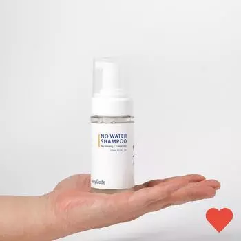 Шампунь Berry Waterless Dry Shampoo 100 мл