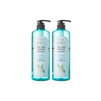 Шампунь Daenggi Meori Herbal Tea Tree Shampoo 1000 мл x 2 / Обеспечивает увлажнение и питание кожи головы
