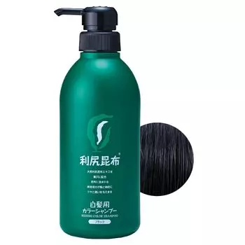 Шампунь Sastty Gray Rishiri Color Value 500 мл [Для волос] (черный)