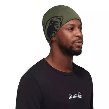 Шапка Tweak Beanie темная [Mammut] 1191-01352 один размер болотно-черный
