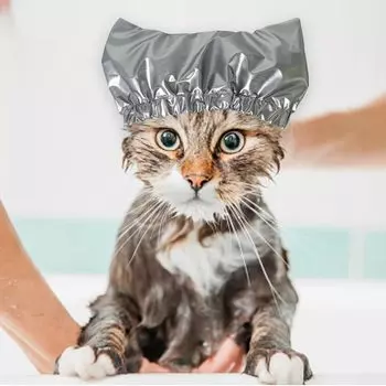 Шапочка для душа для кошек, двухслойная, водонепроницаемая, для купания, для собак, предотвращает попадание воды в уши M розовый