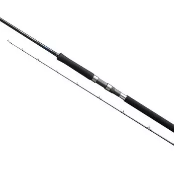 SHIMANO 19 Salty Advance Egging S83ML